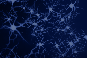 Abstract illustration of interconnected neurons with branching axons and dendrites, representing a neural network or nervous system activity.